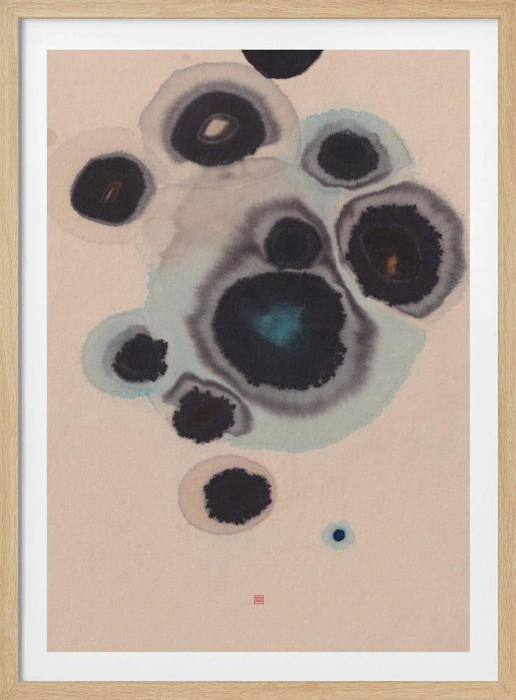 Study N°10 | Living Stones | Poster