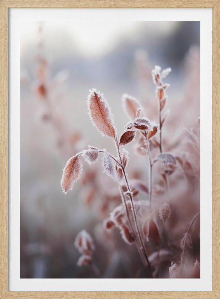 Frosted Elegance | Poster
