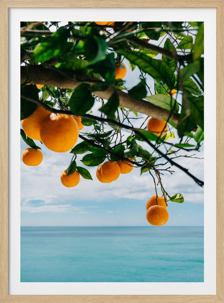 Amalfi Coast Oranges IV | Poster