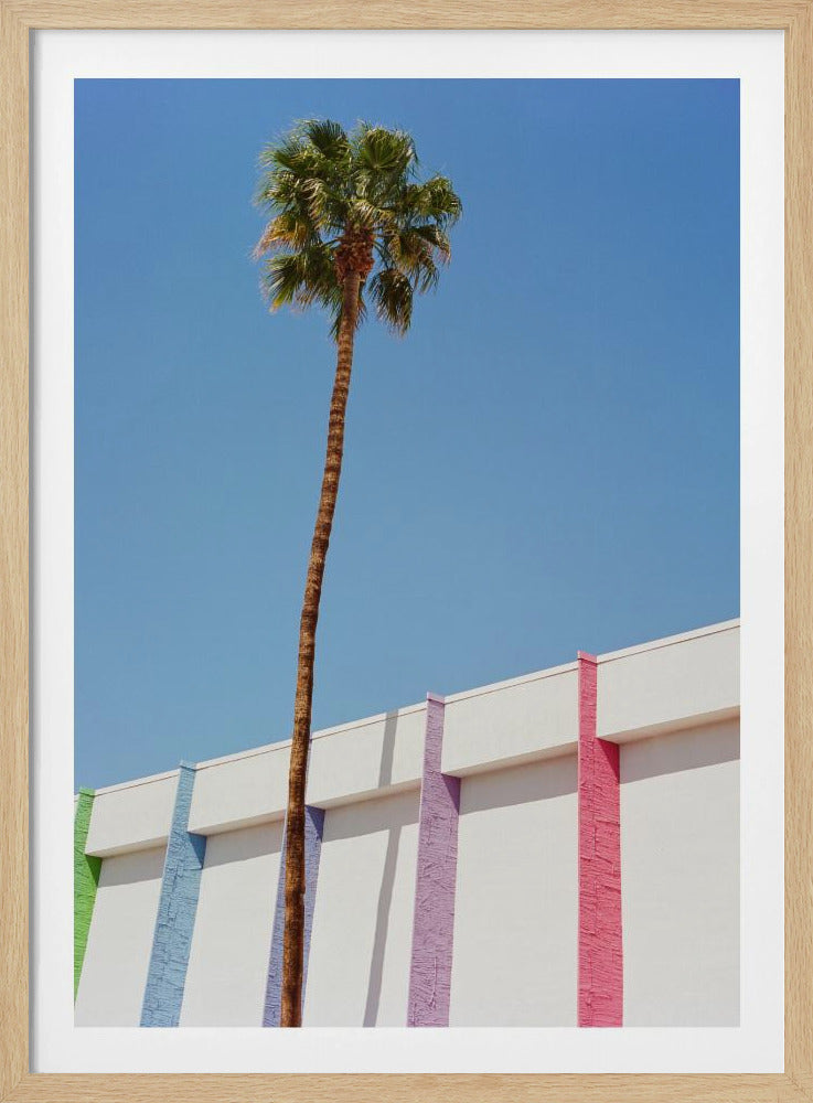 Palm Springs II | Poster
