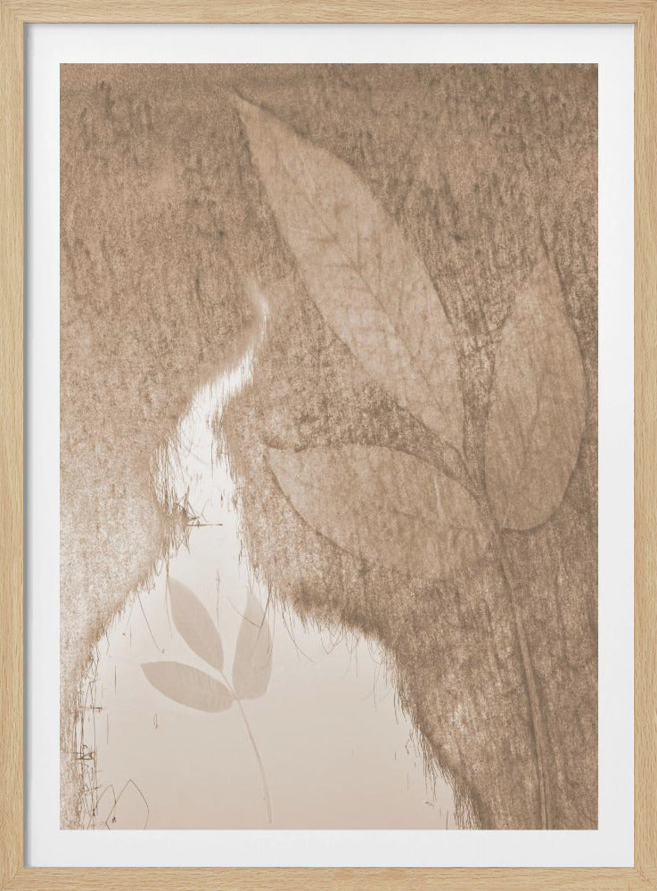 Water Mirror | Poster