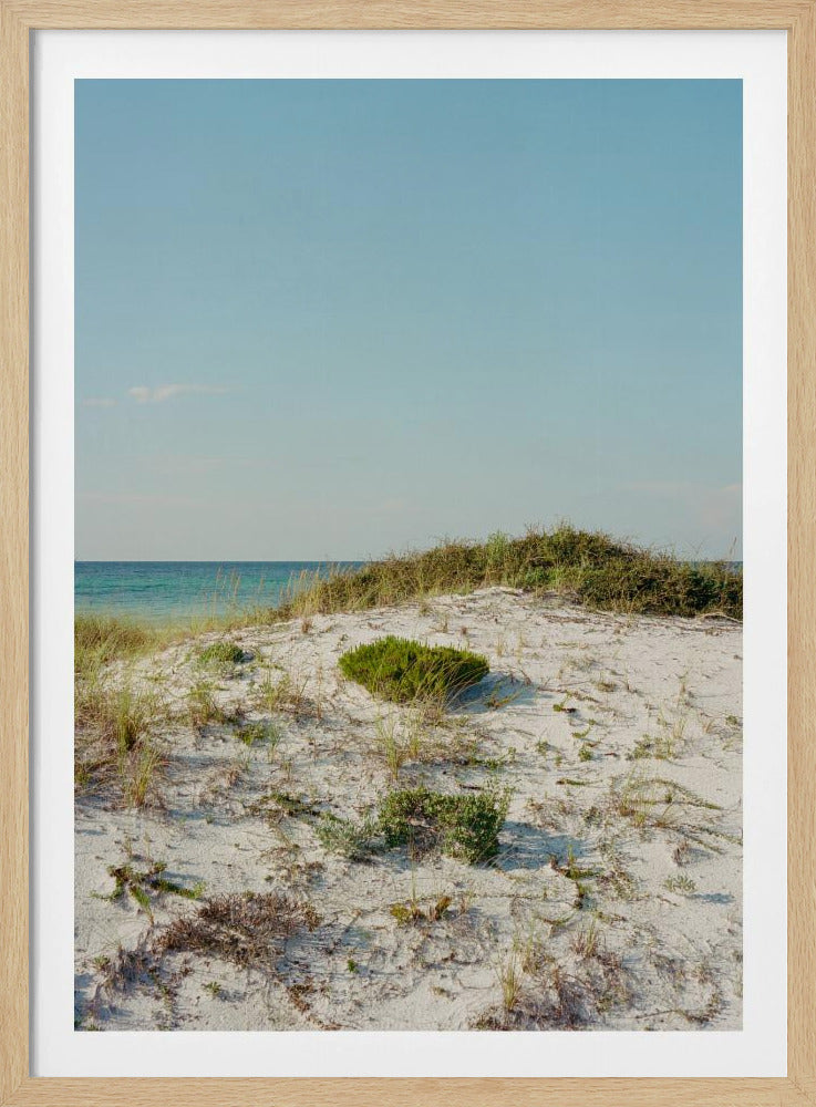 30a Dunes II | Poster