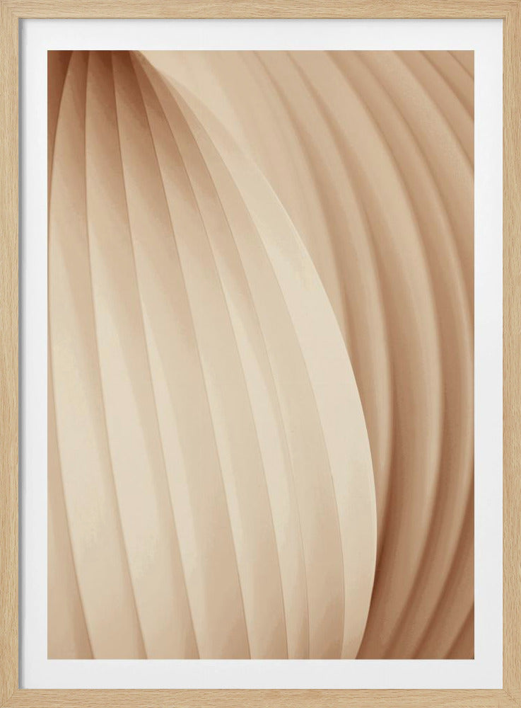 Shades of Softness | Poster