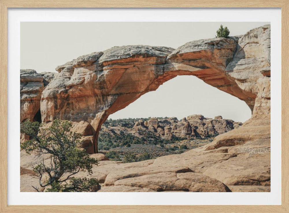 View to the West | Poster