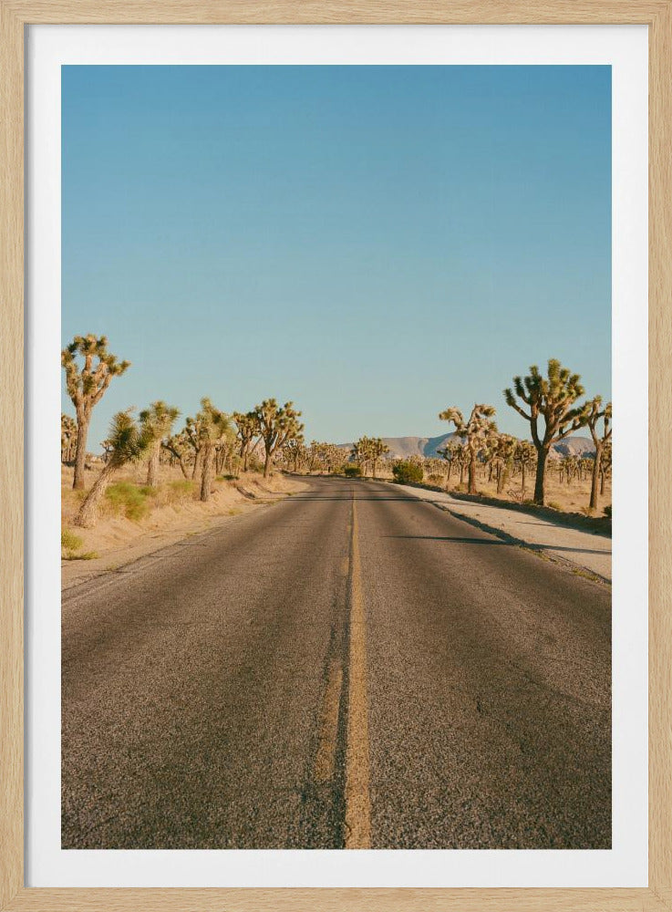 Joshua Tree Road II | Poster