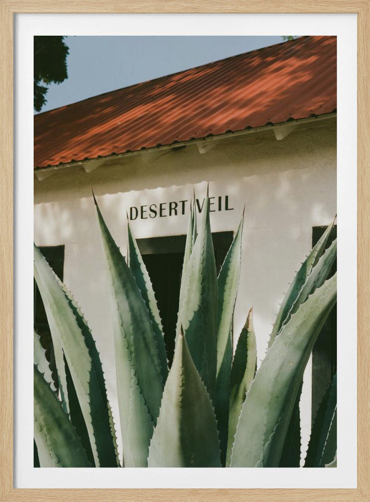 Desert Veil | Poster