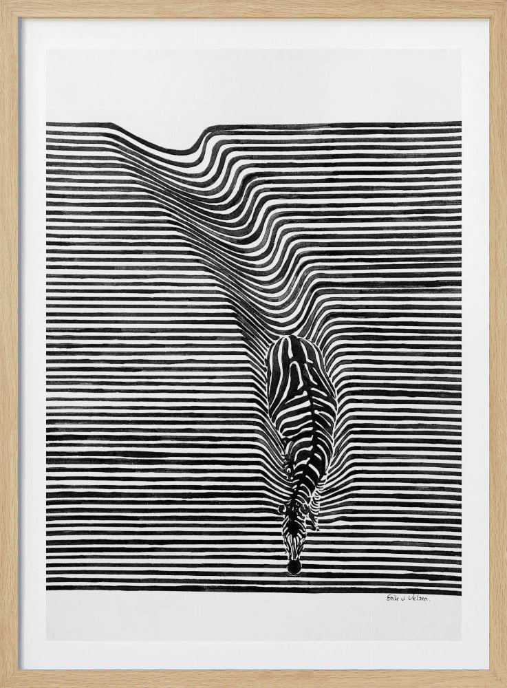 Zebra in het veld | Poster