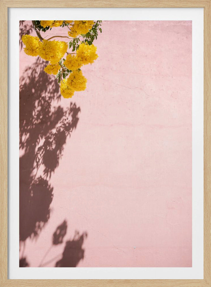 Yellow and Pink | Oaxaca Mexico | Poster