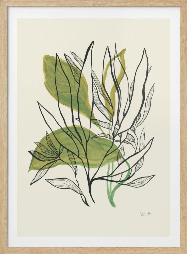 Foliage N.1 | Poster