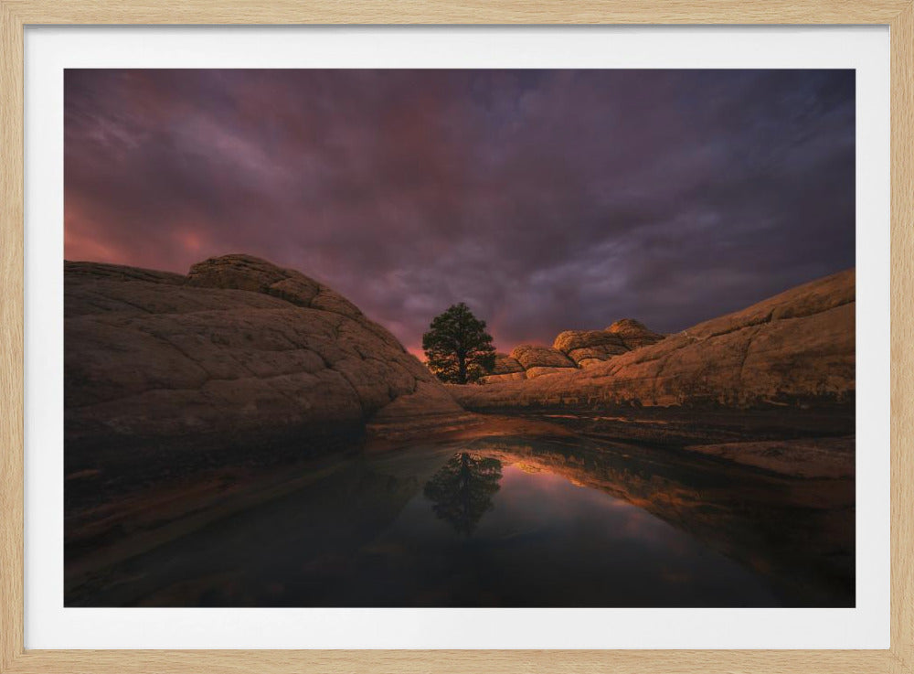 Morning Light | Poster