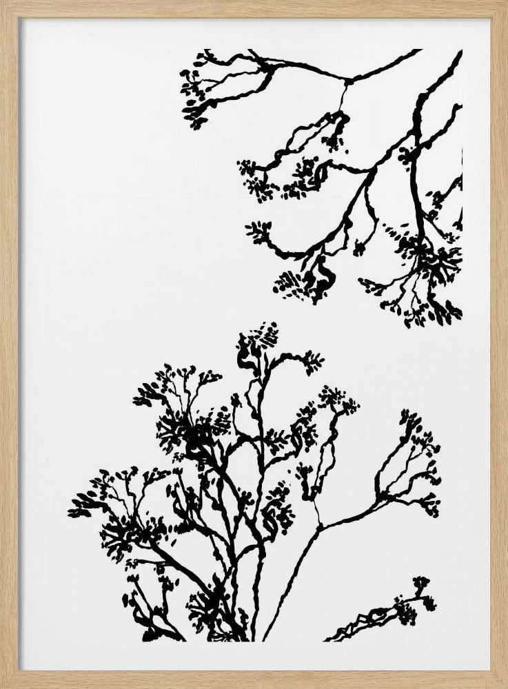 Blossom Trees Silhouette | Poster