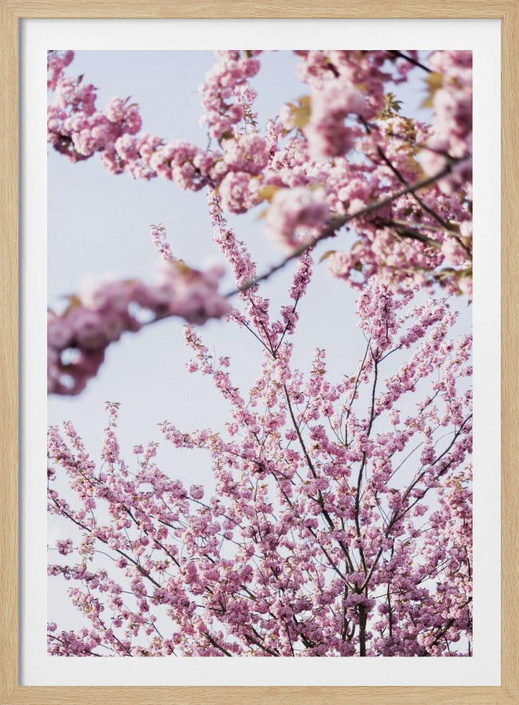 Colorful Spring 11 | Poster