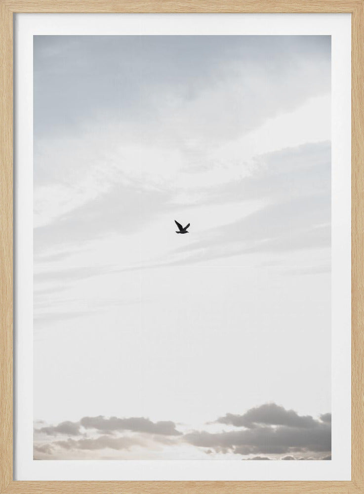 Flying High | Poster