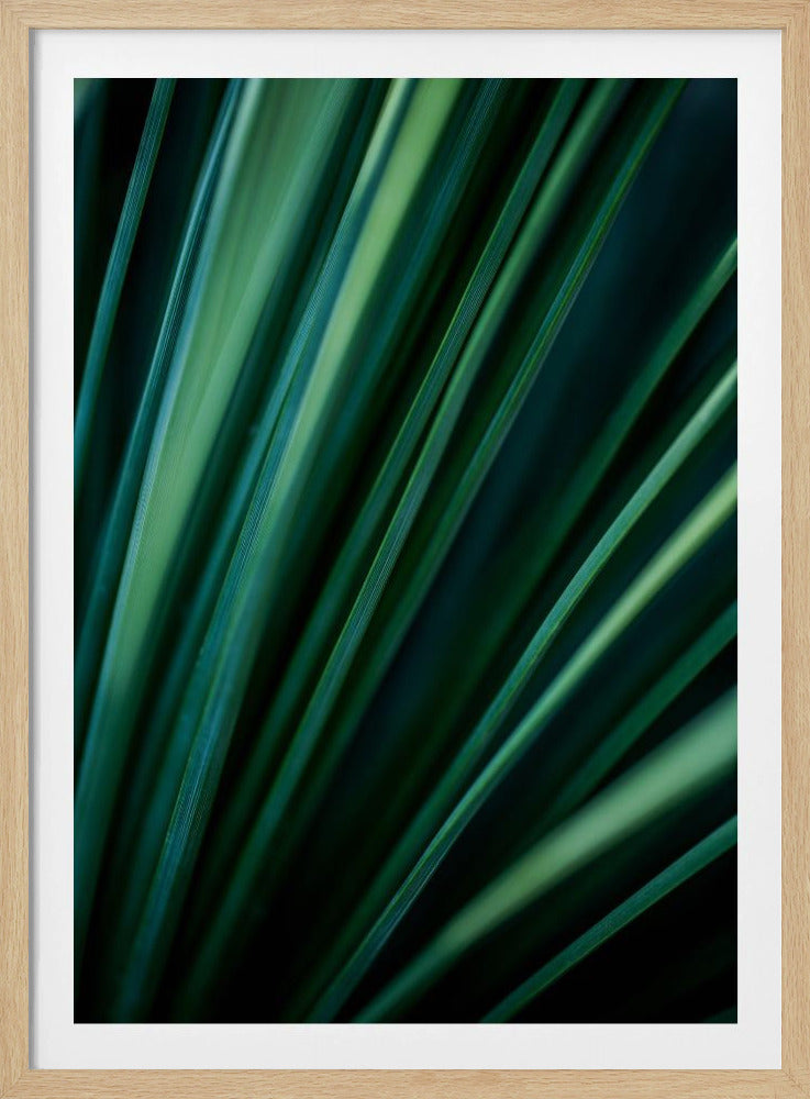Green Straws 2 | Poster