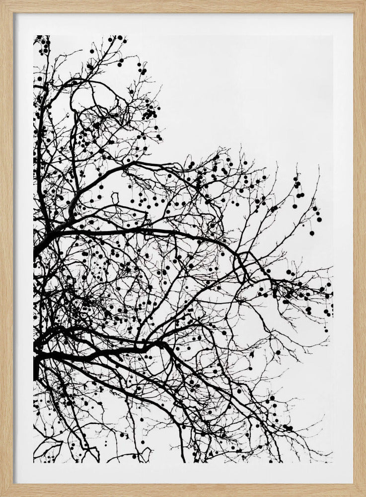 Winter Silhouettes 5 | Poster