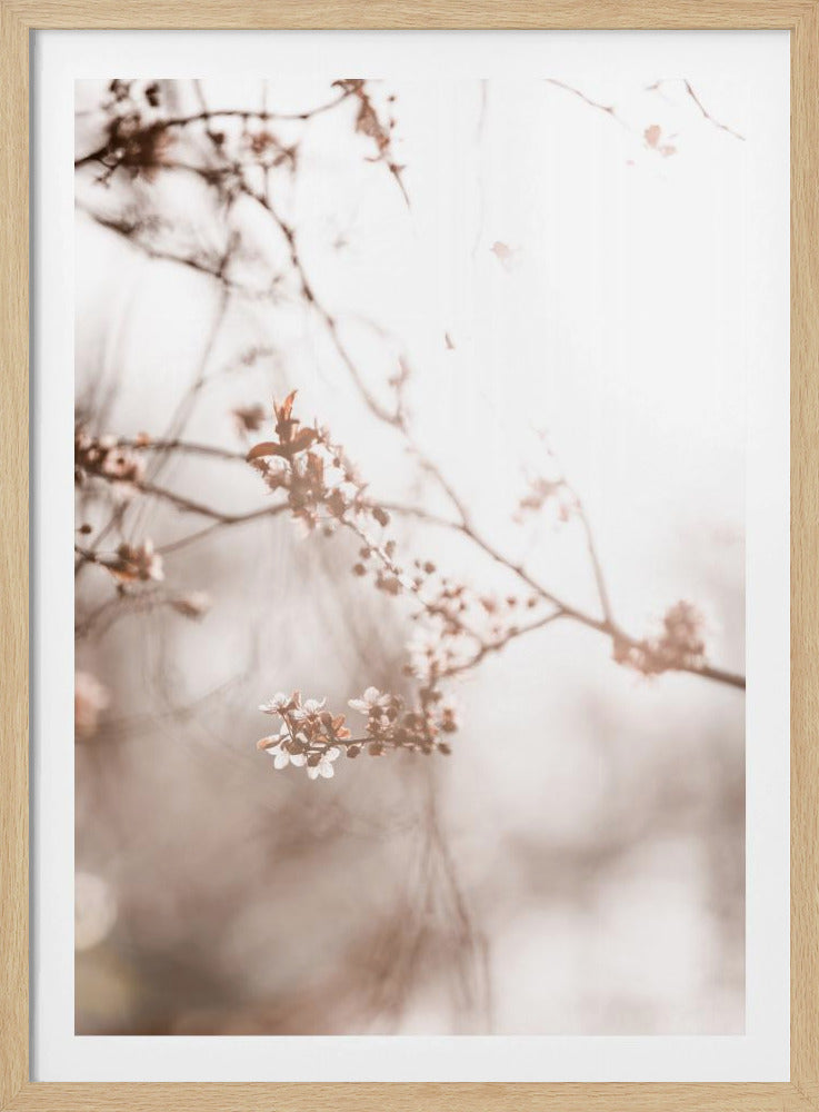 Last Spring 3 | Poster