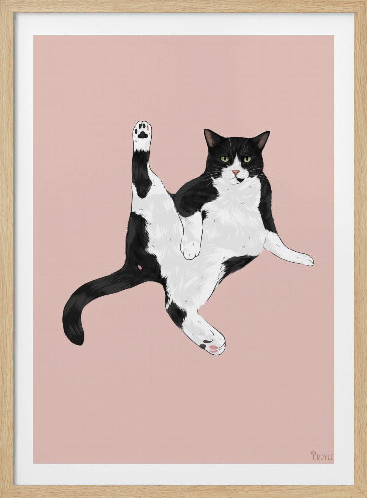 Cat In A Funny Pose | Poster