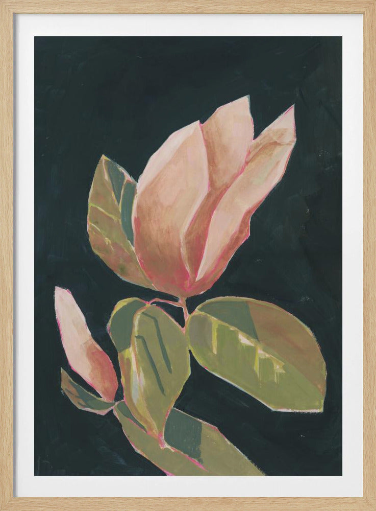 Magnolia in dark background | Poster