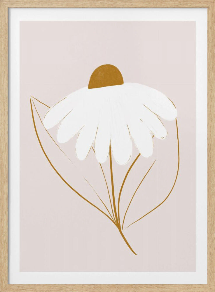 White Daisy | Poster