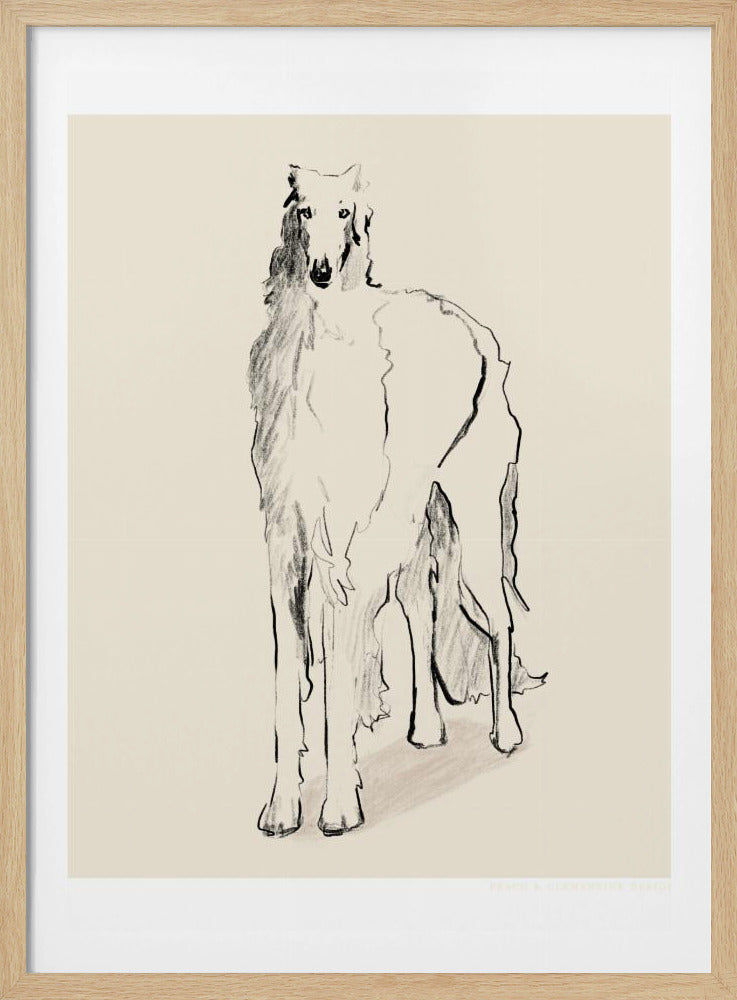 Borzoi Russian Wolfhound Pandc | Poster
