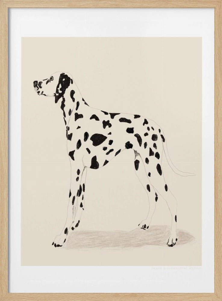 Pandc Dalmation | Poster