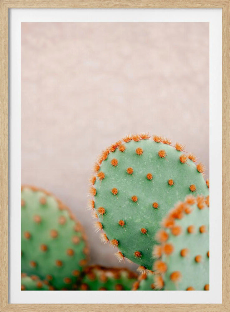 Cacti Pastel Tones | Poster