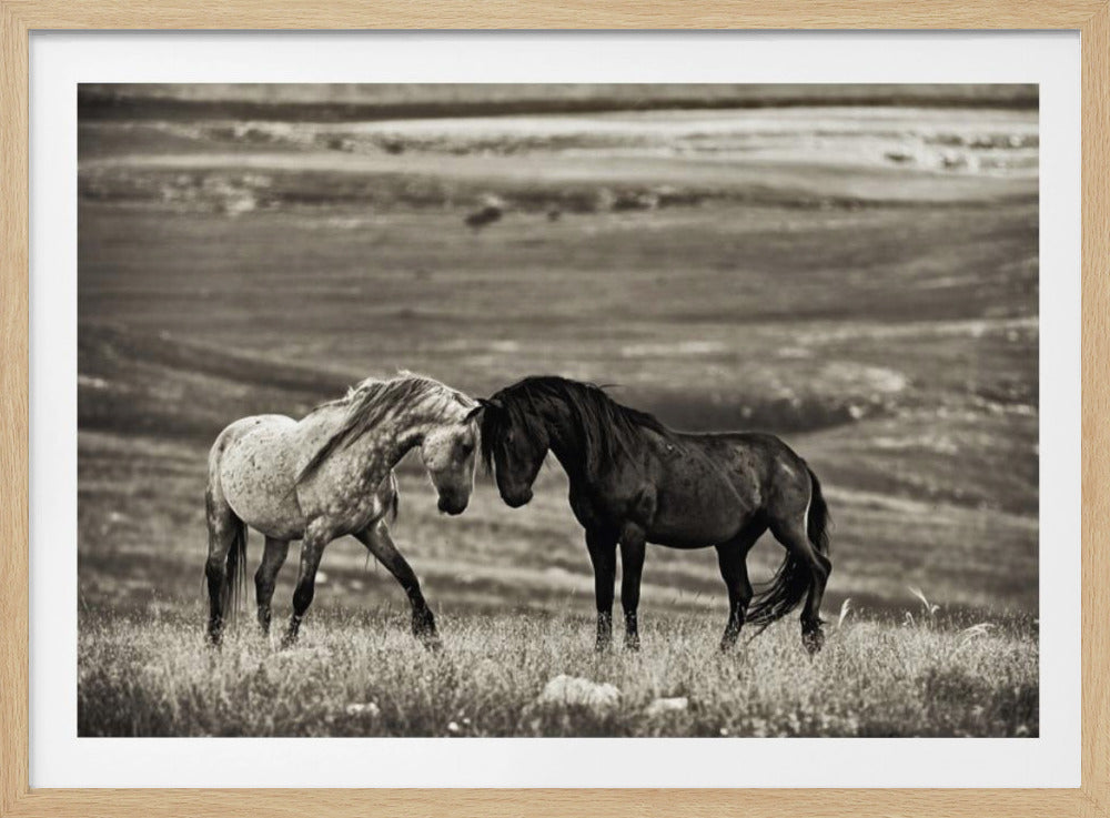 close encounter | Poster