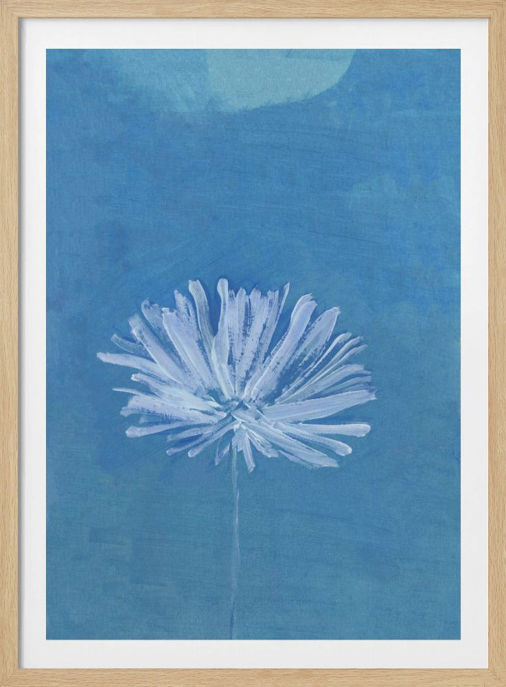 White Flower On Blue Background | Poster