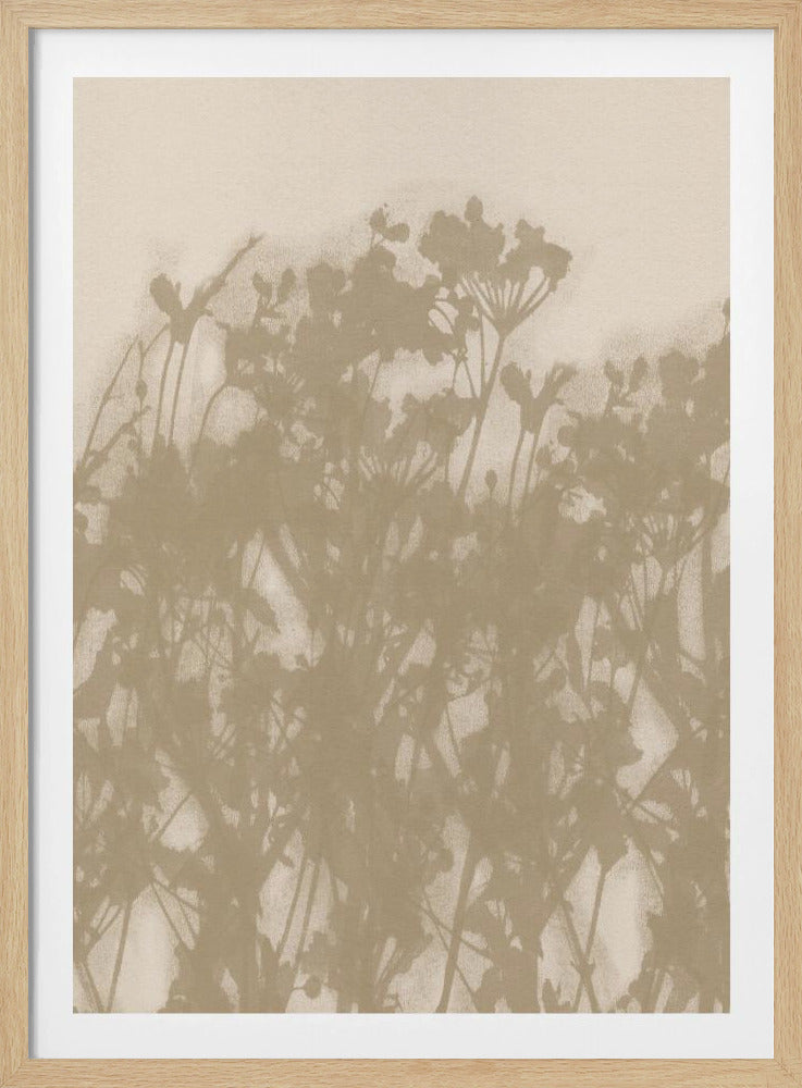 Wild Meadow in Ochre and White | Poster