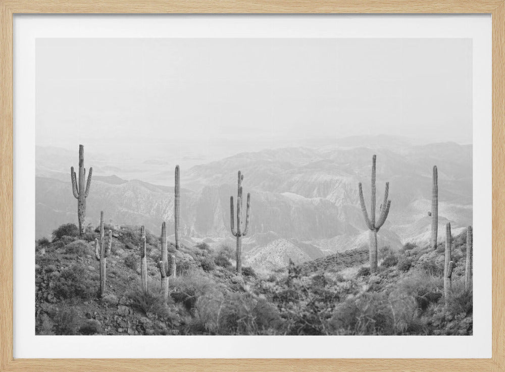 Western Cactus | Poster