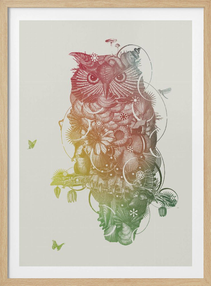 Owl | Poster
