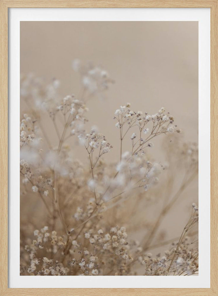 Babys Breath 1 | Poster