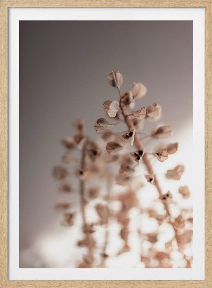 Last Summer 32 | Poster