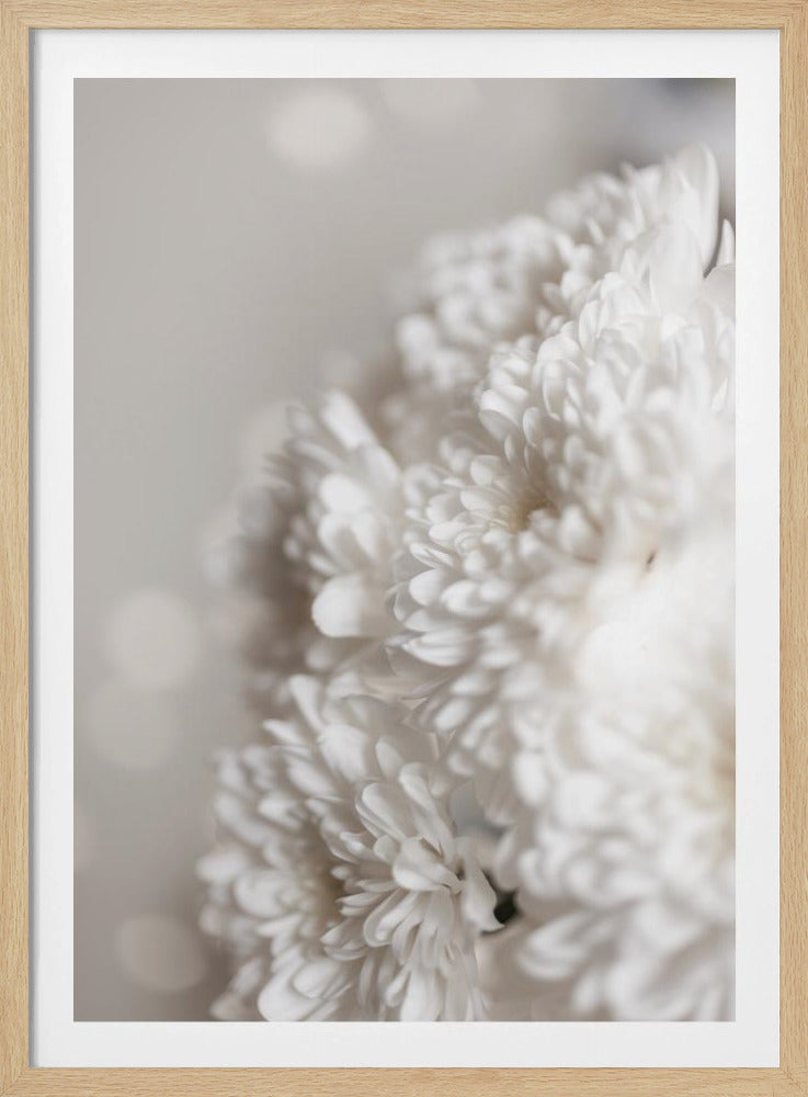 White Flowers | Poster
