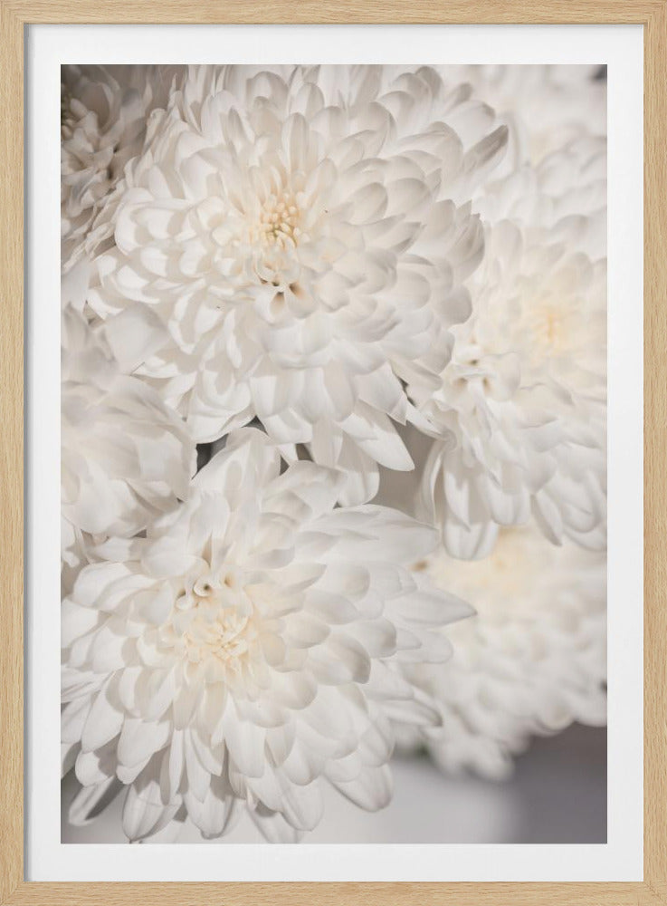 White Flowers 2 | Poster