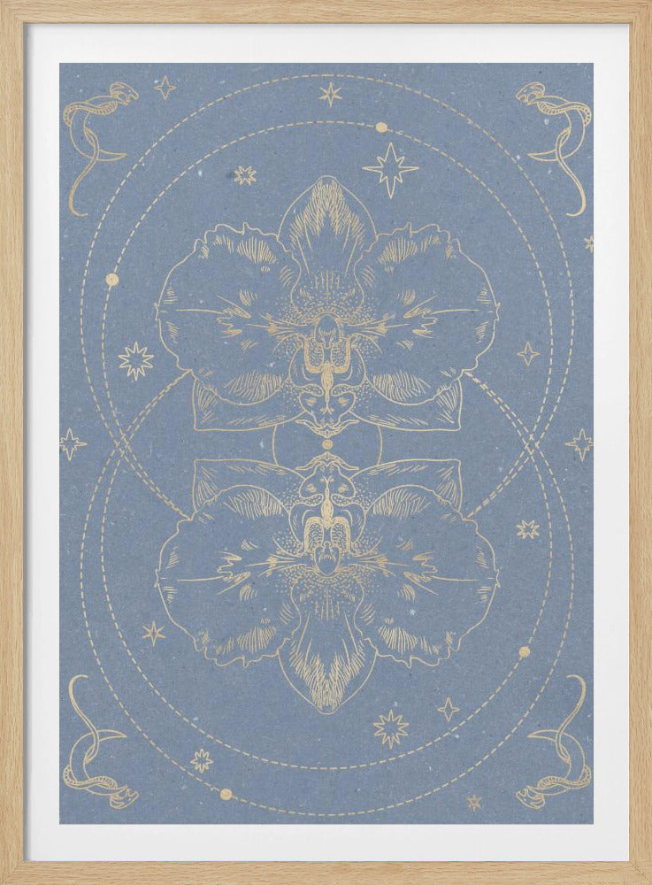 The mystical orchid | Poster