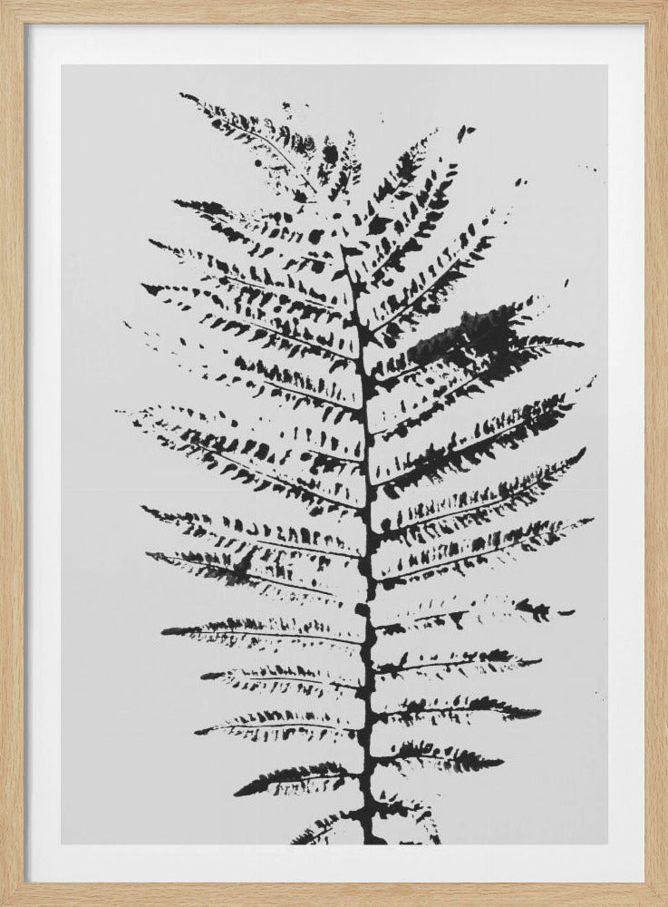 Ferns Iii | Poster