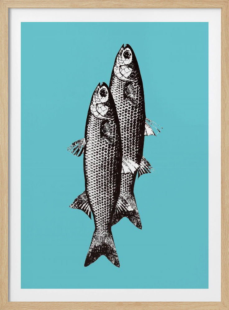 Sardinas | Poster