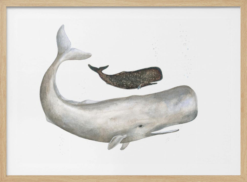 Gentle Ocean Giants | Poster