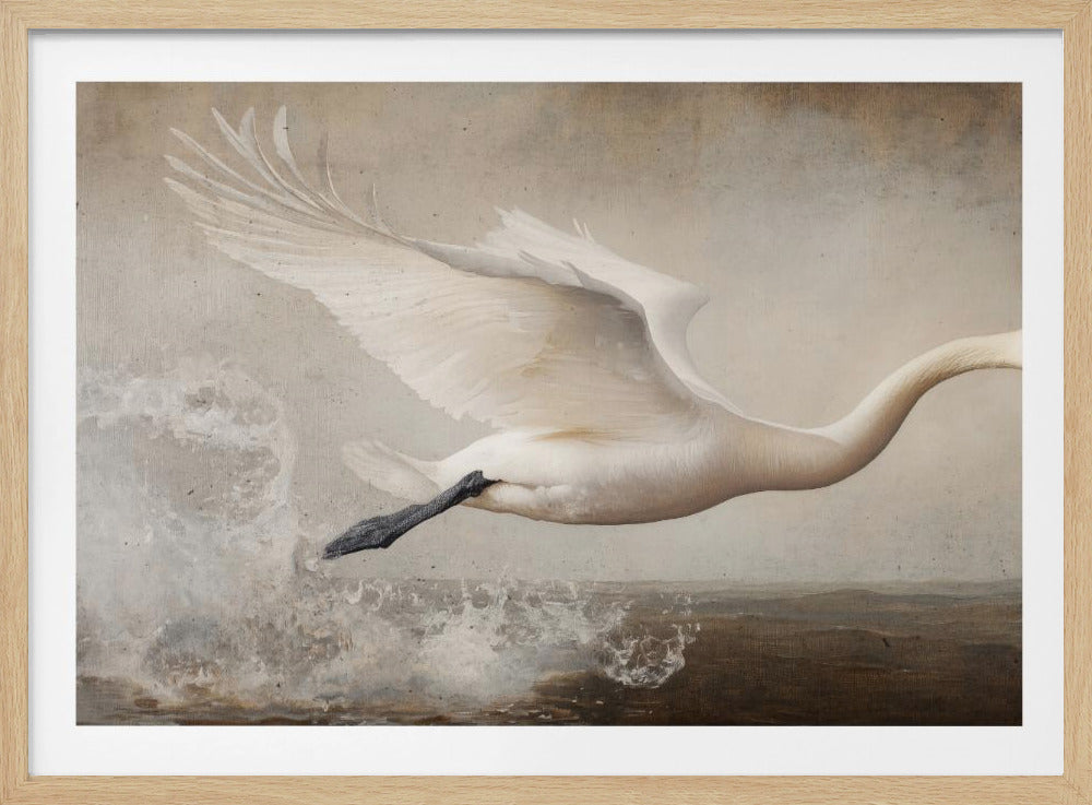 Graceful Flight | Poster