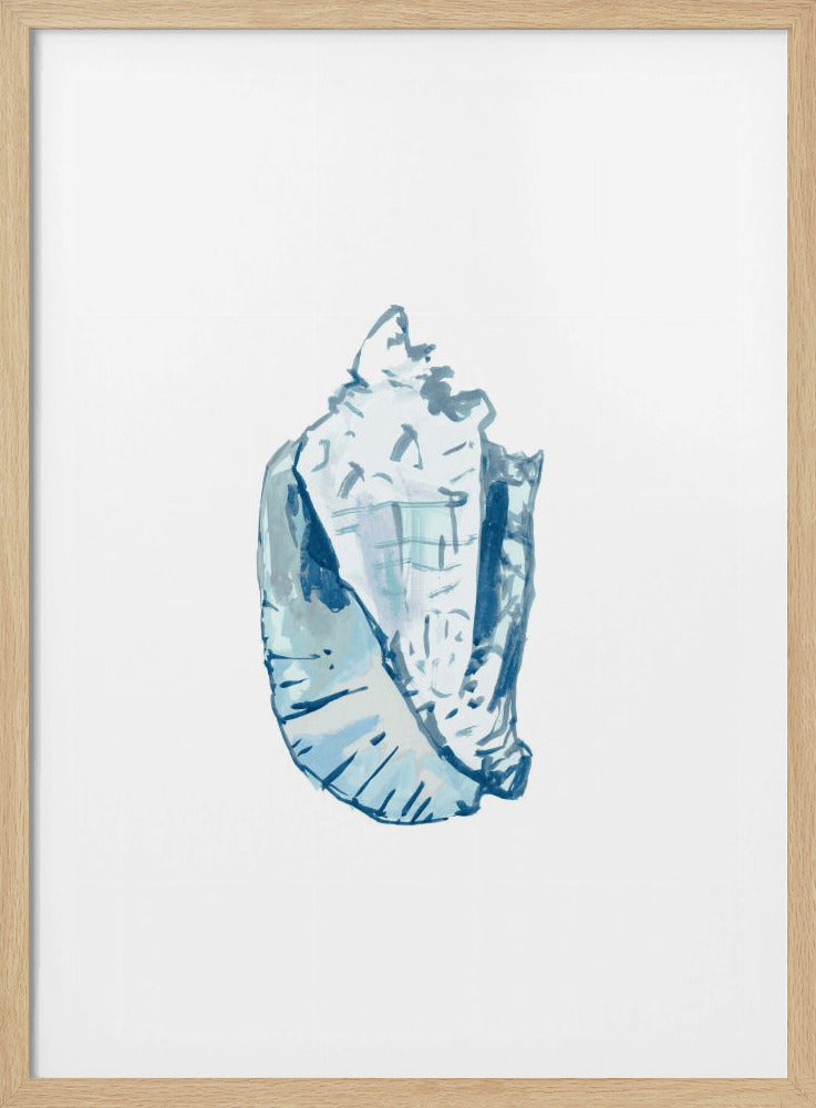 Blue Seashell On White Background No6 | Poster