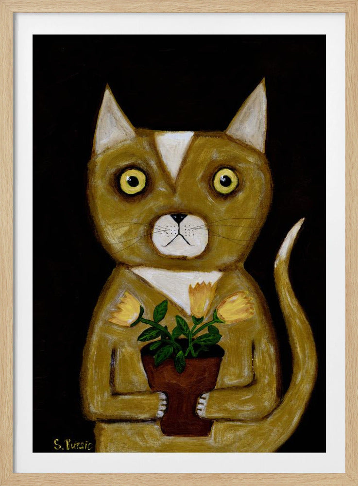 Pot Plant Cat black background | Poster