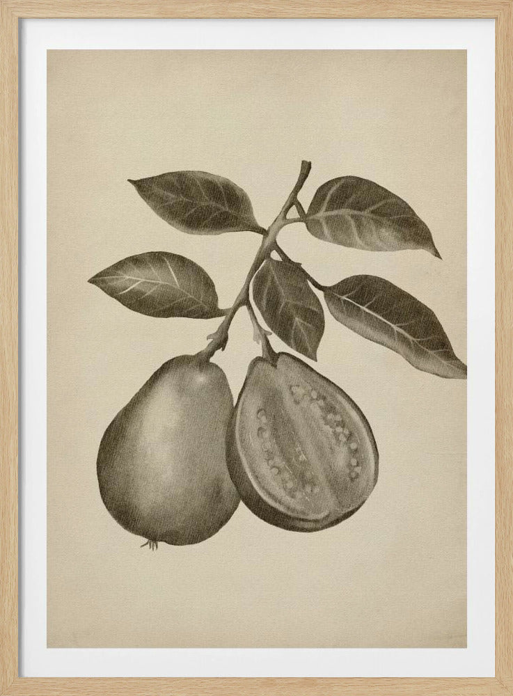 Vintage fruit | Poster