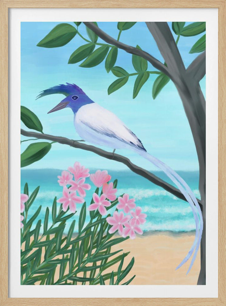 White-throated Magpie-Jay | Poster