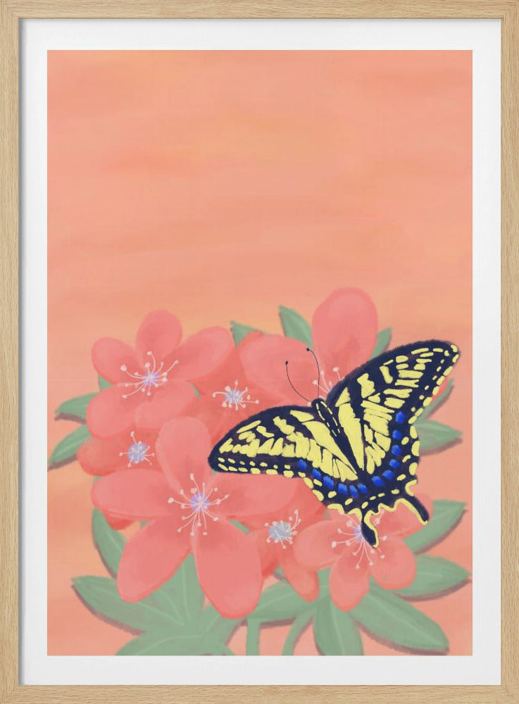 Tiger Swalowtail Butterfly | Poster