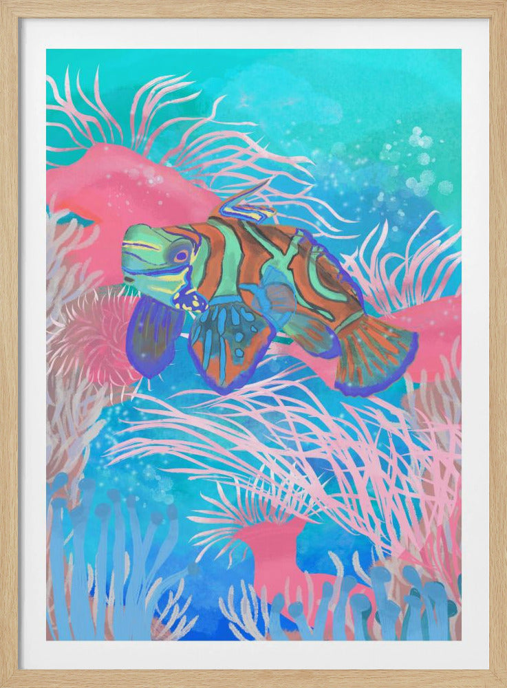 Mandarinfish | Poster