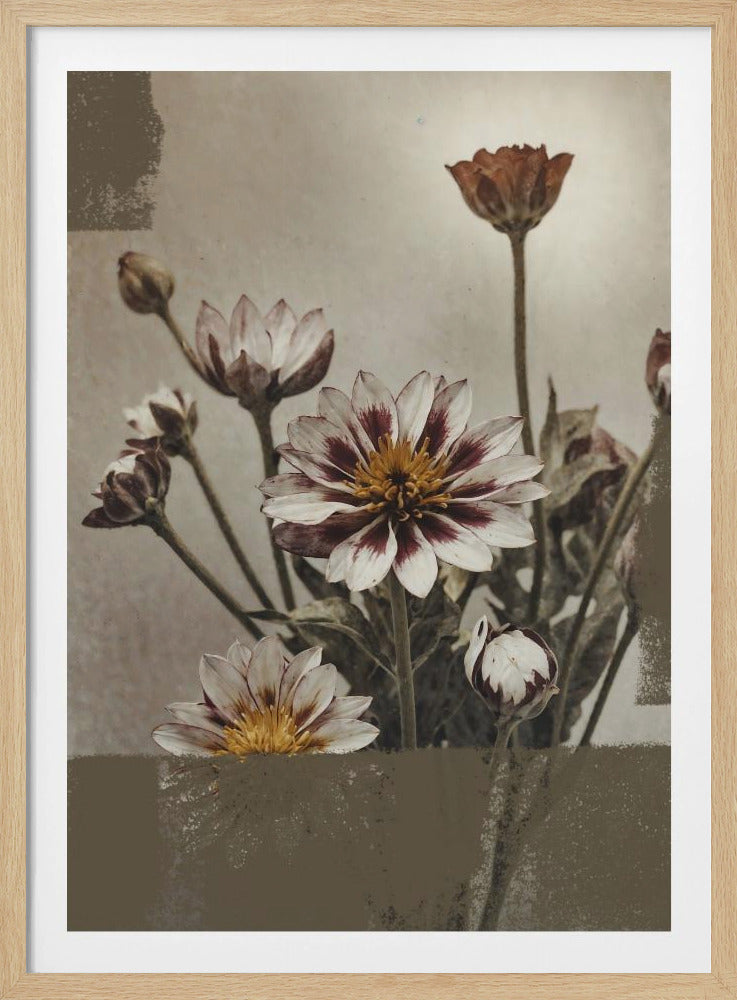 5 Vintage Flowers | Poster