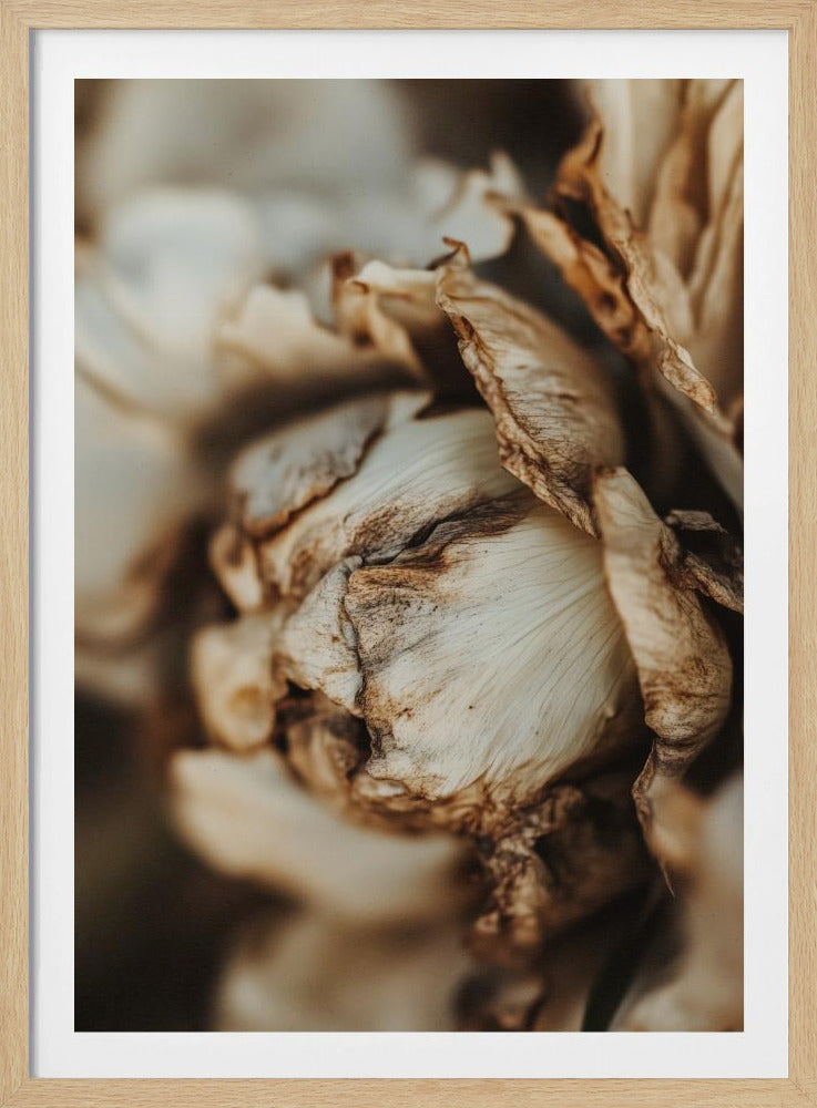 Whispering Petals | Poster