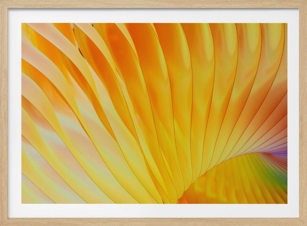 Golden Spirals | Poster