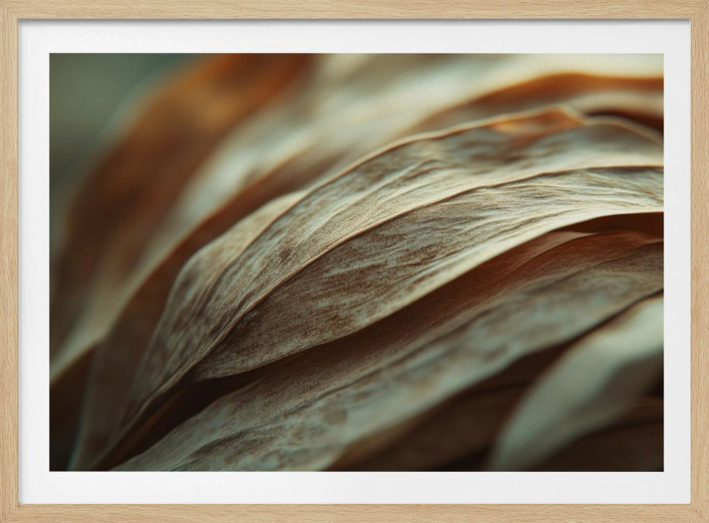 Rippling Petals | Poster